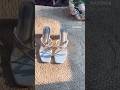 💫Meesho heel 💐 beautiful white sandal #shorts #short #viralvideo #video