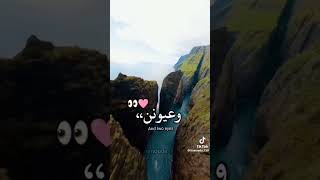 اغنية لو تعرف يلي صار ❤️🌹