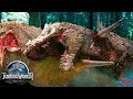 Изнурительные сражения динозавров Jurassic World The Game
