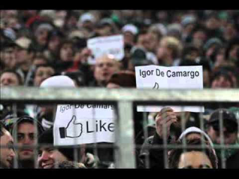 LIKE IGOR Gegen Medienhetze Hetzjagd Und Beleidigung