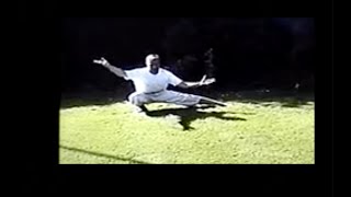 Old Yang Style Tai Chi 2002 - Www.taiji.net Old Yang Style Tai Chi 2002 - Www.taiji.net