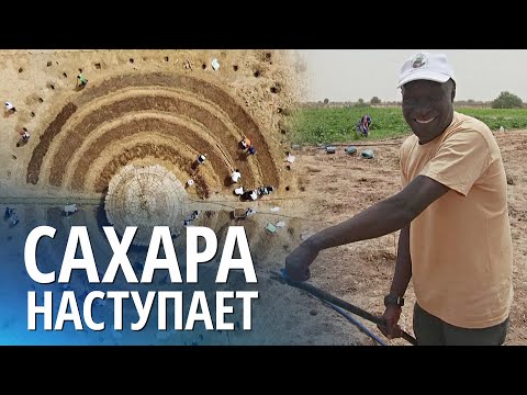 Как круглые сады помогают остановить пустыню