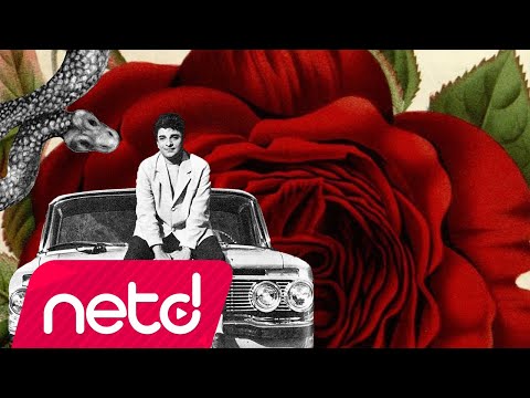 Zeki Müren / Valeron — Yaralı Gönül Remix