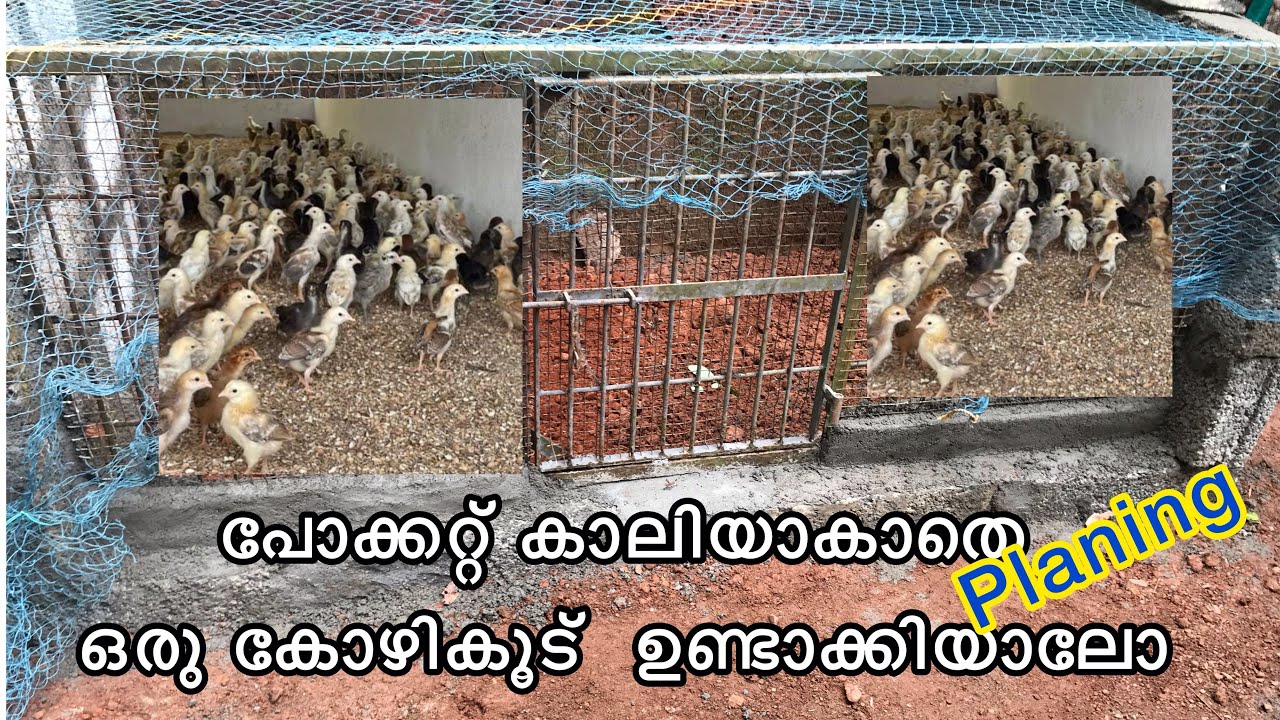 ഏറ്റവും കുറഞ്ഞ ചിലവിൽ കോഴിക്കൂട് നിർമ്മിക്കാം||Low cost chicken cage|kozhikood