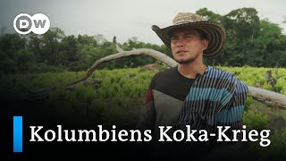 Land, Macht, Geld - Der brutale Kampf im größten Koka-Anbaugebiet Kolumbiens | DW Reporter