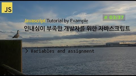 [3/37] Javascript, 인내심이 부족한 개발자를 위한 자바스크립트, 강의 강좌 비디오 튜토리얼 by Example,  변수의 선언과 할당(Variables)