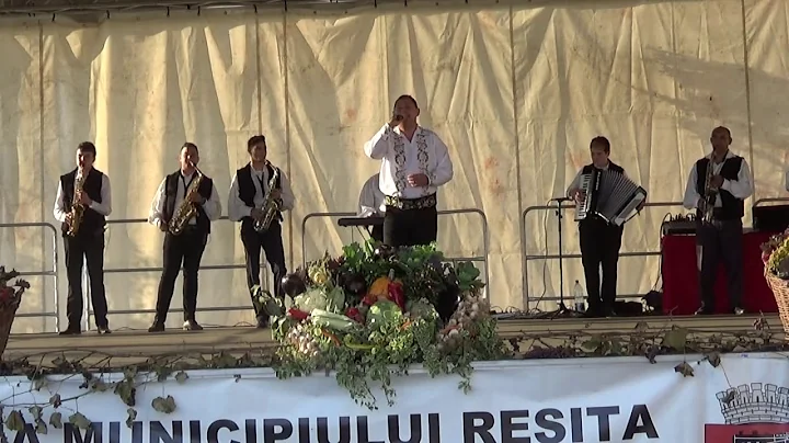 Florin Potra- Ziua Recoltei la Reia (a doua zi)  o...