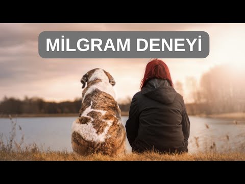 Milgram Deneyi🥸🥼 Altyazılı
