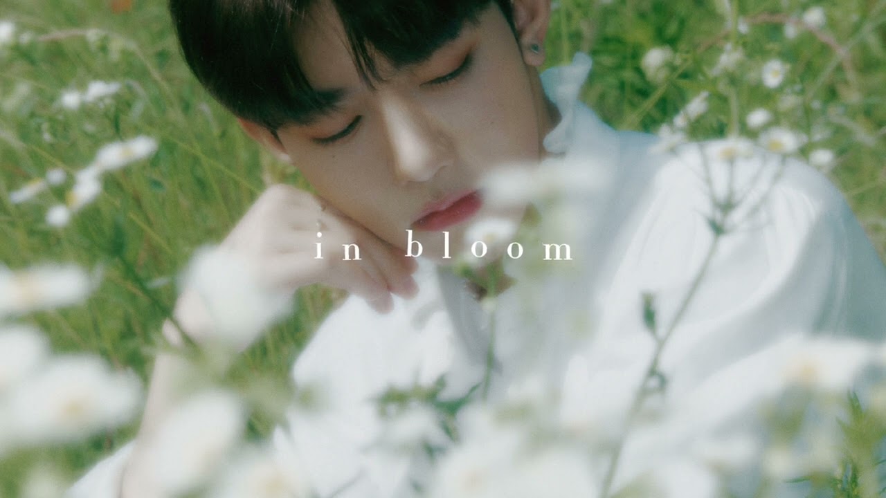 zb1 - in bloom (sped up)