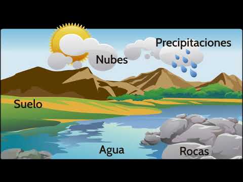 Elementos del Ecosistema