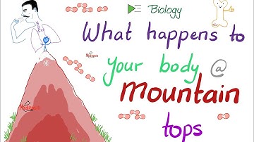 How your Body Changes at High Altitudes - Altitude Sickness - Oxygen-Dissociation Curve - Biology