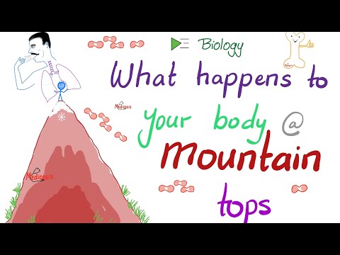 How your Body Changes at High Altitudes | Oxygen-Dissociation Curve | Biology