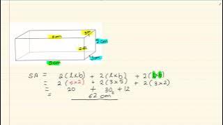 Grade 10: Measurement: Calculating the surface area of a rectangle