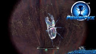 Monster Hunter World - Rainbow Bright Trophy Achievement Guide