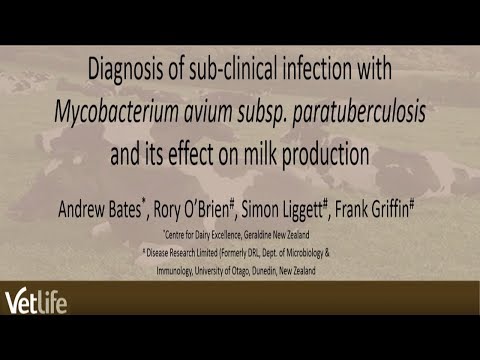 Vídeo: Dinâmica Interna Do Hospedeiro De Mycobacterium Avium Ssp. Infecção Por Paratuberculose Em Bovinos: Onde O Tempo E O Lugar São Importantes