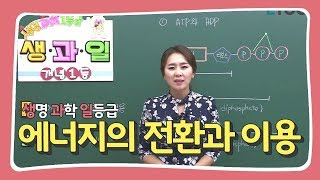 [생명과학 일등급 생.과.일!] 에너지의 전환과 이용