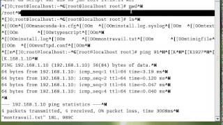 Linux 'Script' Command