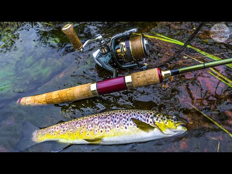 Best Trout Spinning Reels 2024 - Top 5 Best Spinning Reels For Trout  Fishing 