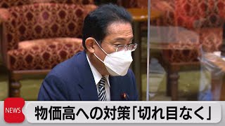 岸田総理　物価対策「切れ目なく」実行（2022年6月3日）