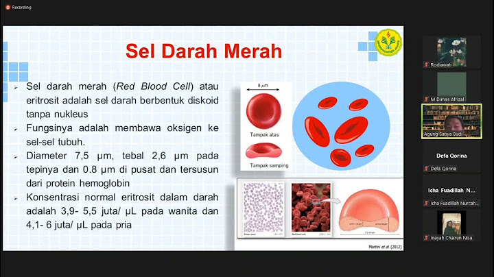 Protein dalam plasma darah yang akan digunakan membentuk zatyang meningkatkan imunitas tubuh yaitu