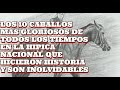 TOP 10 MEJORES CABALLOS DE LA HISTORIA HIPICA NACIONAL