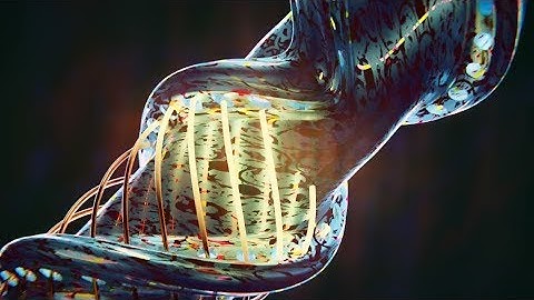 Arcüs - Resequence [Instumental] (Visualizer)