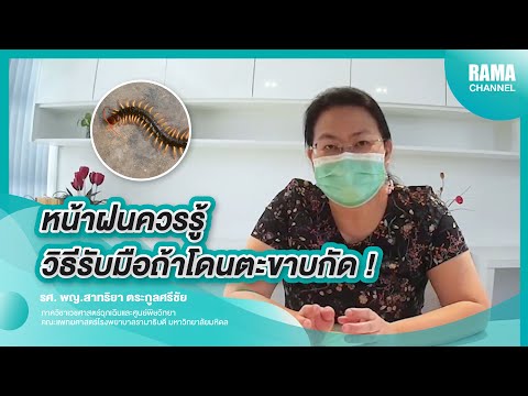 หน้าฝนควรรู้ วิธีรับมือโดนตะขาบกัด ! | RAMA Channel