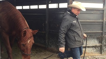 BACK TO THE BASICS - FIXING TRAILER LOADING ISSUES WITH GROUND WORK