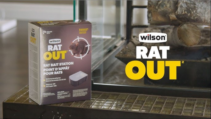 Control Rodent Infestation with the Wilson Mouse Baits