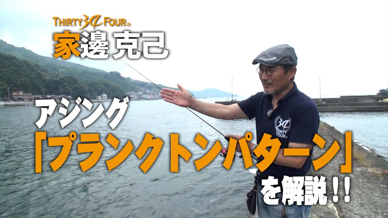34 ゼログラヘッド 樹脂加工ジグヘッドで表層アジング攻略 暮らし の