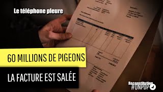 60 millions de Pigeons : le téléphone pleure