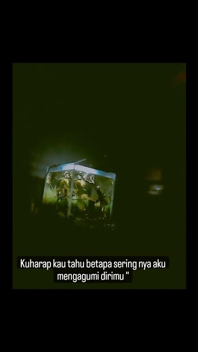 story'wa.aquascape 20×20×20