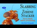 Slabbing in Zerene Stacker - focus stack batch processing