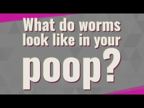 What do worms look like in your poop?