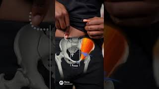 Don t underestimate those hip flexors