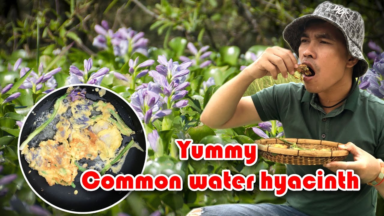 Frying common water hyacinth with chicken egg and lotus flower newfood