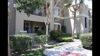 22681 Oakgrove Aliso Viejo Downstairs 1 Bedroom 1 Bathroom Condo www APGproperties com