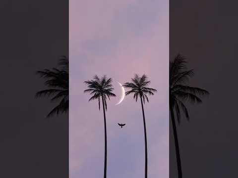 HD جمال الوجود بذكر الإله للمنشد محمد المقيط The Beauty Of Existence By Muhammad Al Muqit