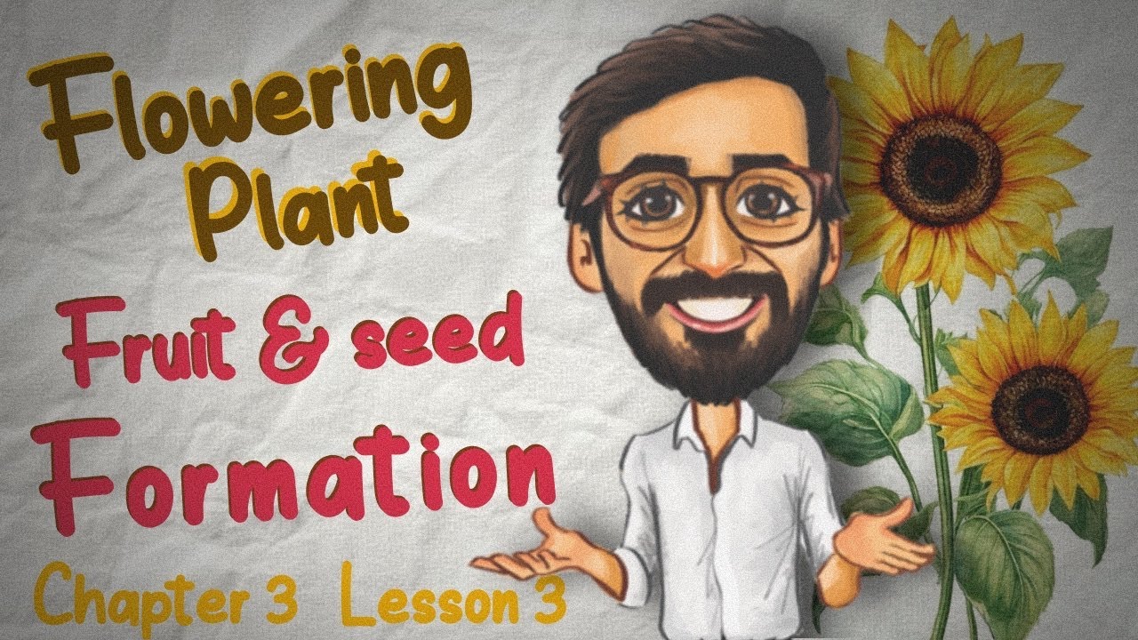 Biology |senior3| Reproduction in flowering plants | seed and fruit formation  | دكتور مصطفي خضر