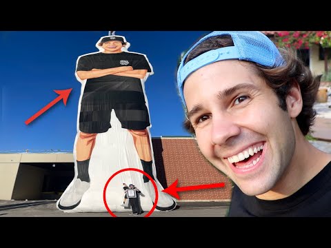WE BOUGHT THE WORLDS LARGEST PILLOW!!
