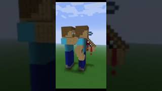 Minecraft video