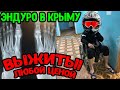 Перелом на 2х ногах! Опять сломал хаску?! Путешествие на корабль ч5