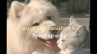 แนะนำให้เป็นแฟนเรา: BOW Maylada feat.GUYGEEGEE [ speed up song ]