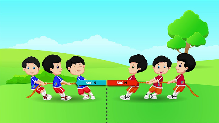 Như thế nào là hai lực cân bằng năm 2024