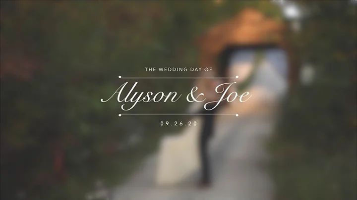 The Erwin's Wedding Highlight