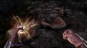 Skyrim Resurrection Mod = Awsome