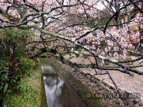 Paseo Del Filosofo Kioto Youtube Paseo Del Filosofo Kioto Youtube