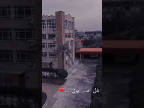 جامعه الفراهيدي