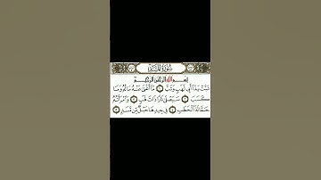 سورة المسد عبدالرحمن الشحات  #قرآن #المصحف #حفظ_القران_الكريم #قران_كريم #سورة_المسد