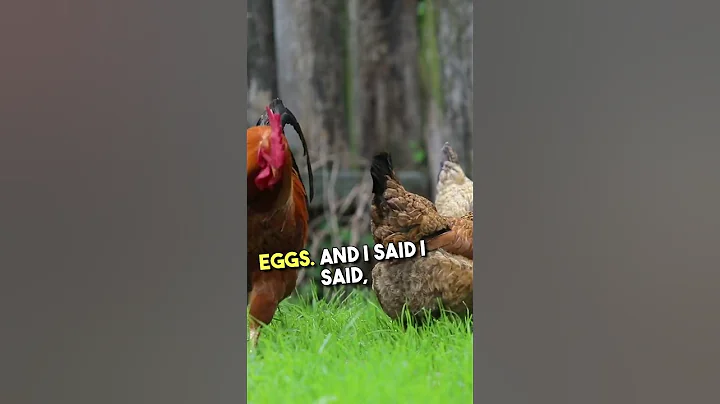 The Power Of Regenerative Eggs | Joel Salatin #farming #farmer #agriculture